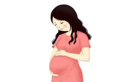 精子白細胞高的原因,教你幾個治療小妙招